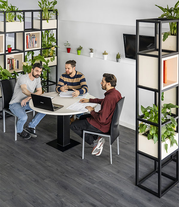 Proyectos evolutivos. Productividad y comunicación