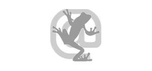 Màrqueting en línia amb Screaming Frog