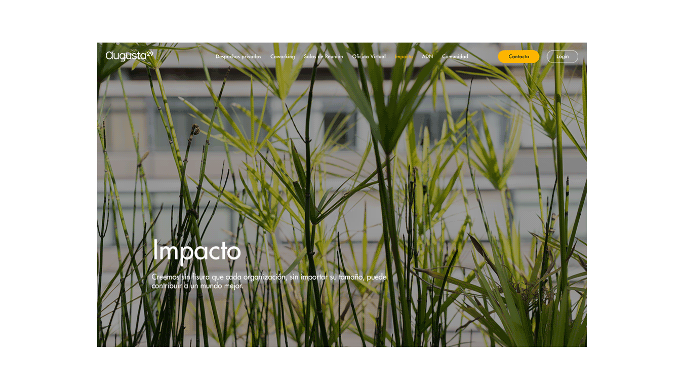 branding diseno desarrollo web augusta29 business center coworking 17