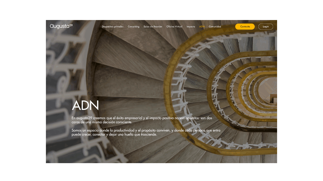 branding diseno desarrollo web augusta29 business center coworking 18