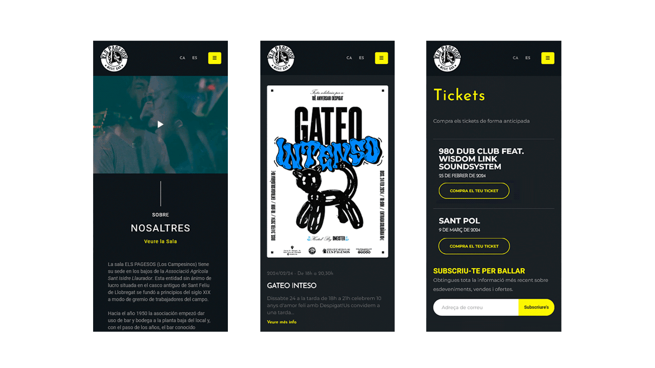 desarollo diseno web els pagessos6