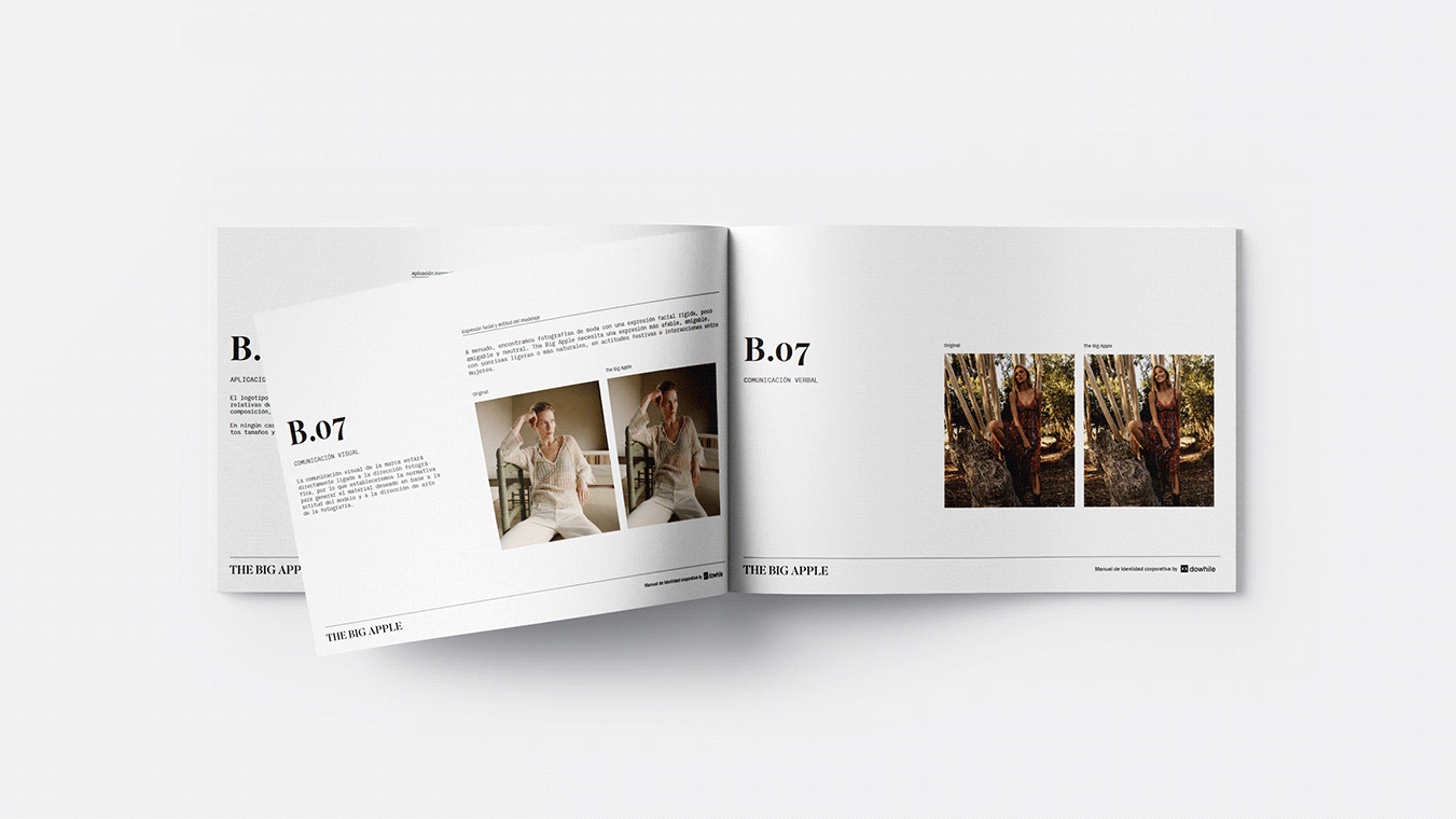 diseno-branding-imagen-corporativa-thebigapple13