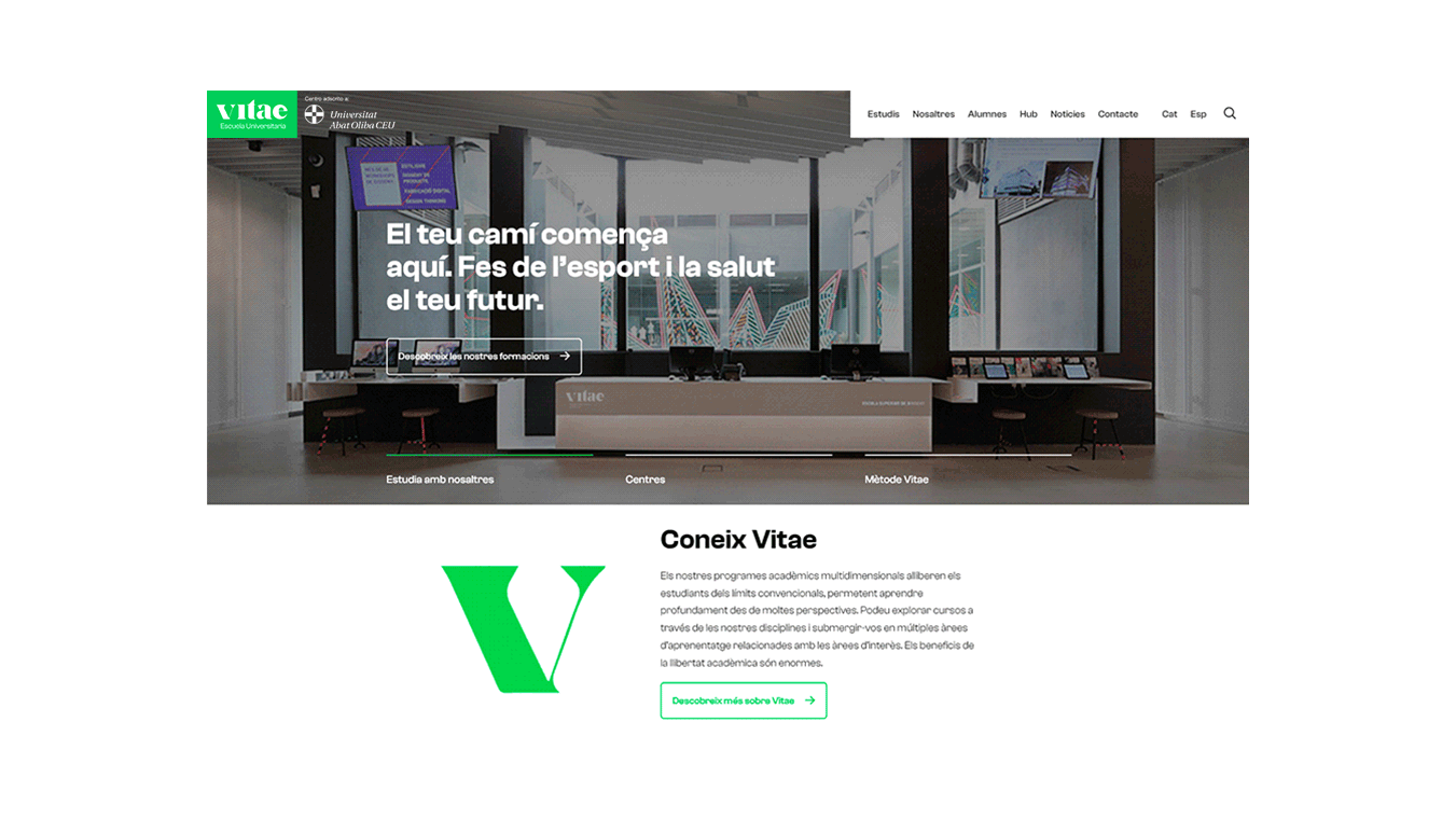 diseno desarrollo web branding vitae escuela universitaria1