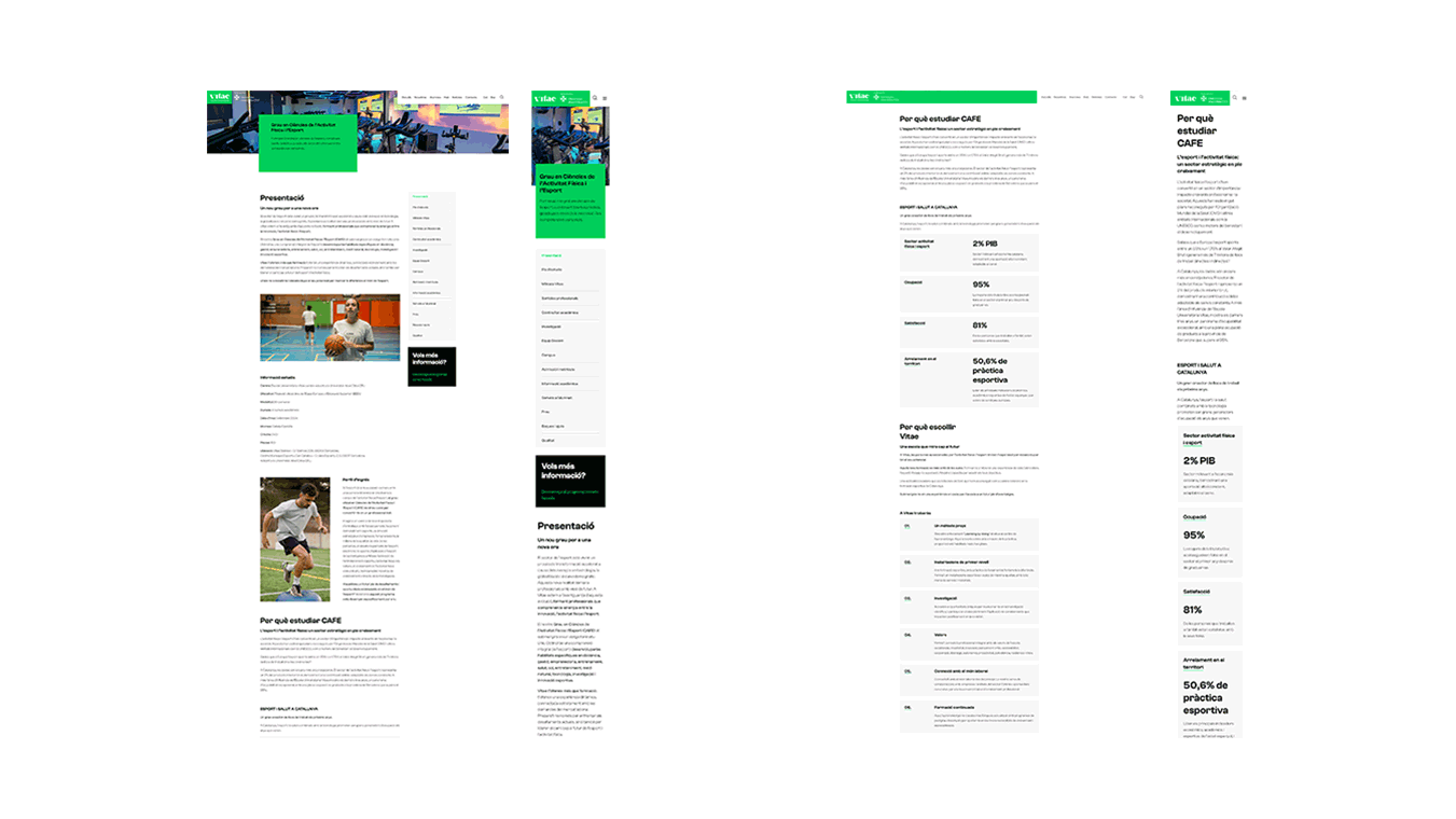 diseno desarrollo web branding vitae escuela universitaria10