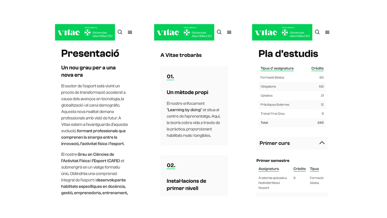 diseno desarrollo web branding vitae escuela universitaria11