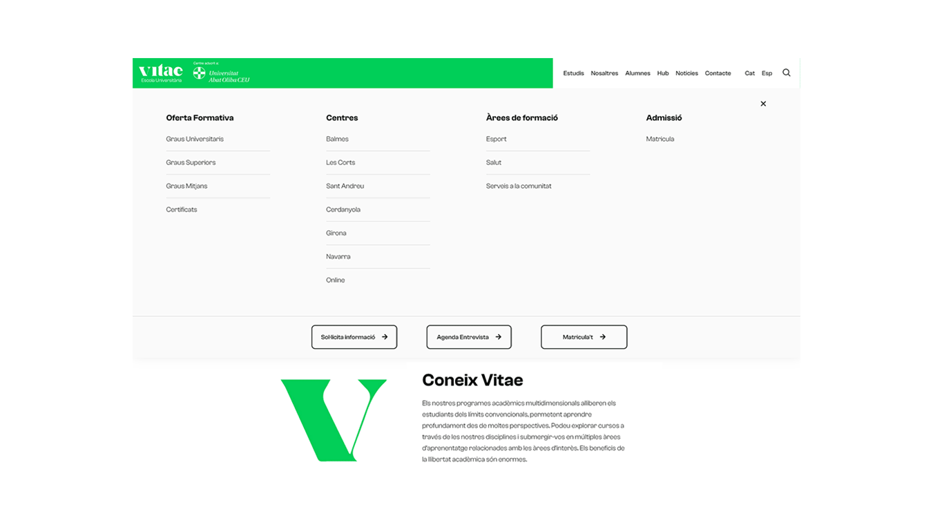 diseno desarrollo web branding vitae escuela universitaria12