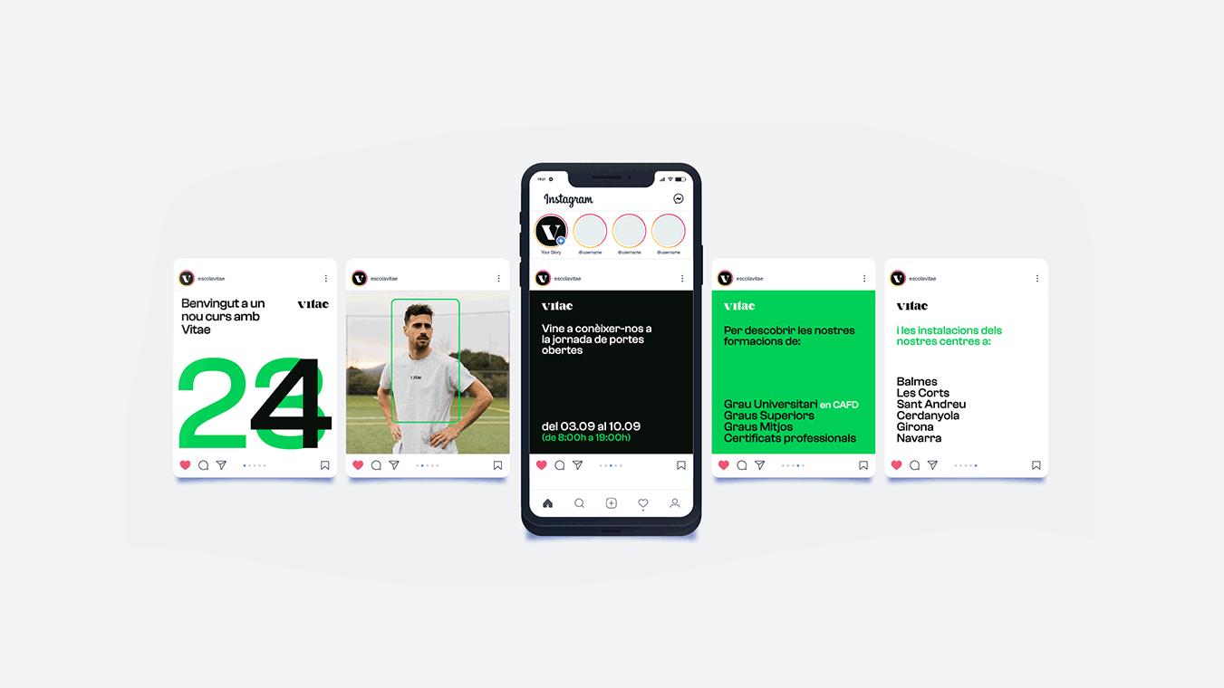 diseno desarrollo web branding vitae escuela universitaria17