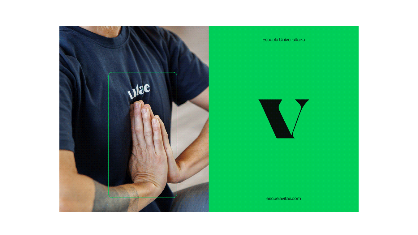 diseno desarrollo web branding vitae escuela universitaria19