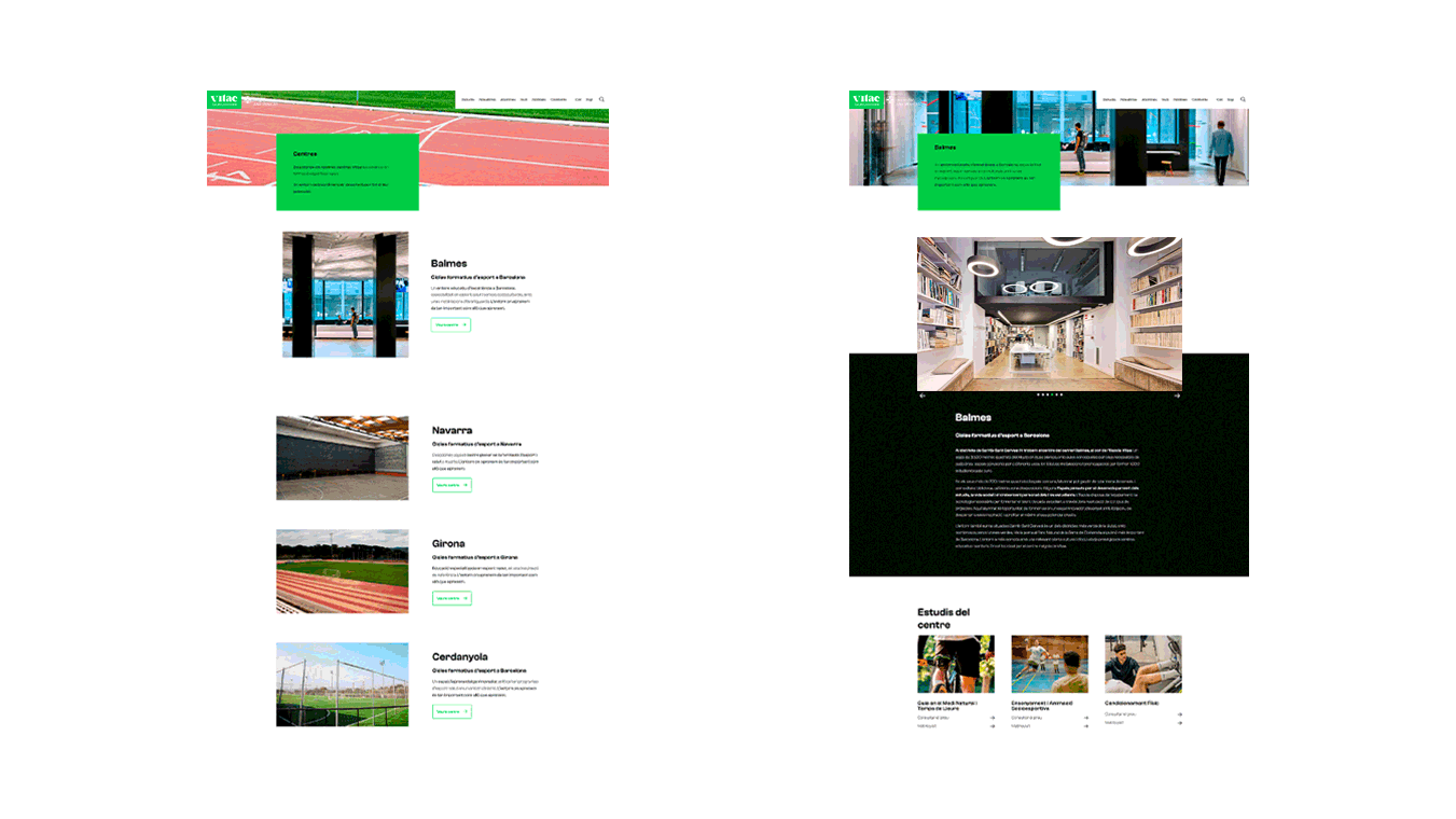 diseno desarrollo web branding vitae escuela universitaria4