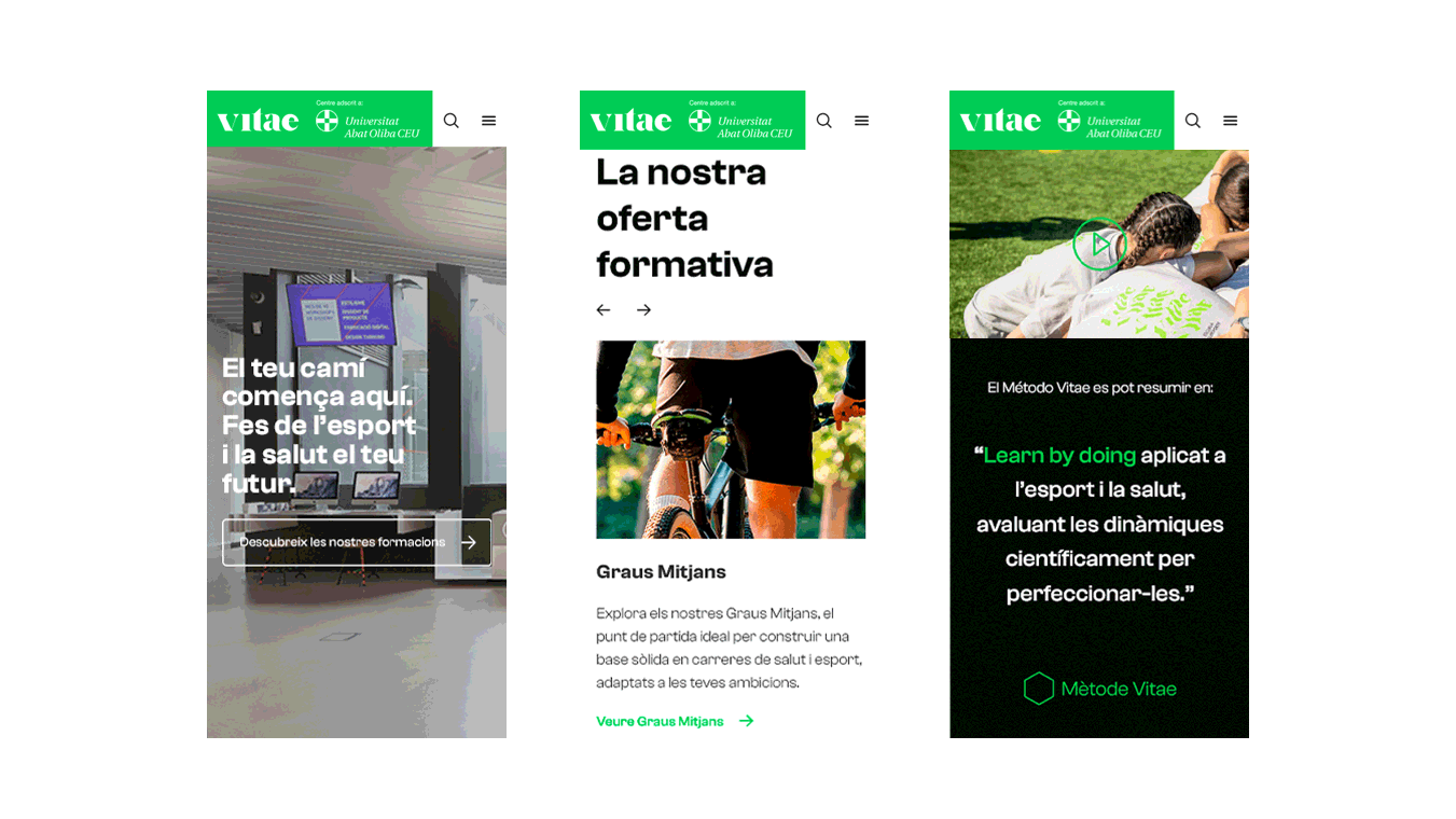 diseno desarrollo web branding vitae escuela universitaria6