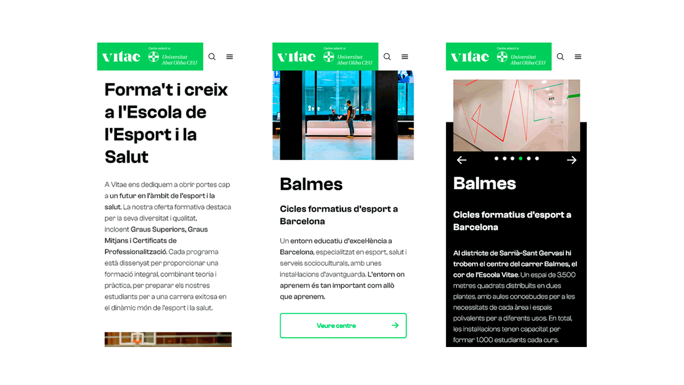 diseno desarrollo web branding vitae escuela universitaria7