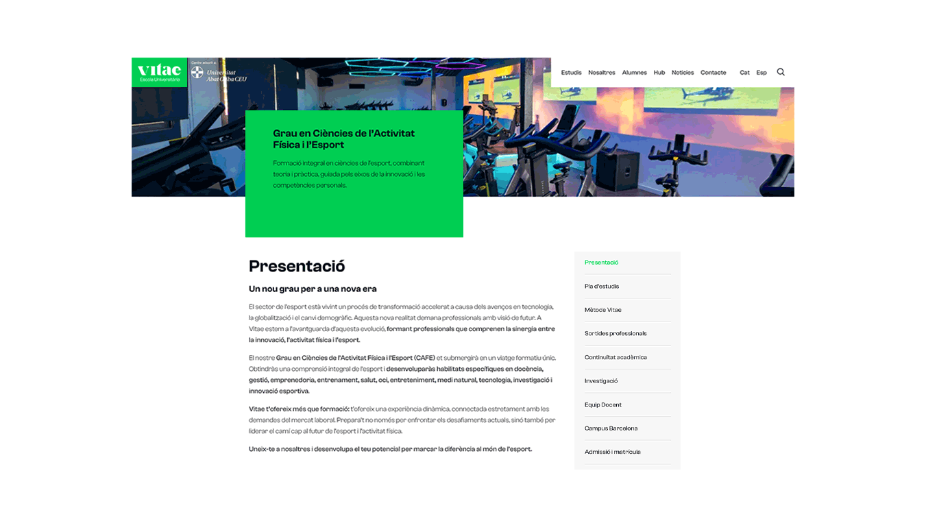 diseno desarrollo web branding vitae escuela universitaria9