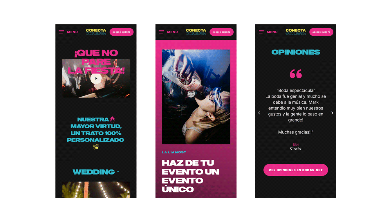 diseno desarrollo web conectaso 6