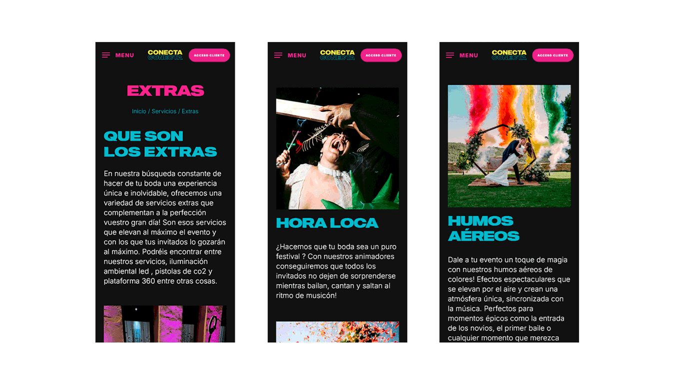 diseno desarrollo web conectaso 7