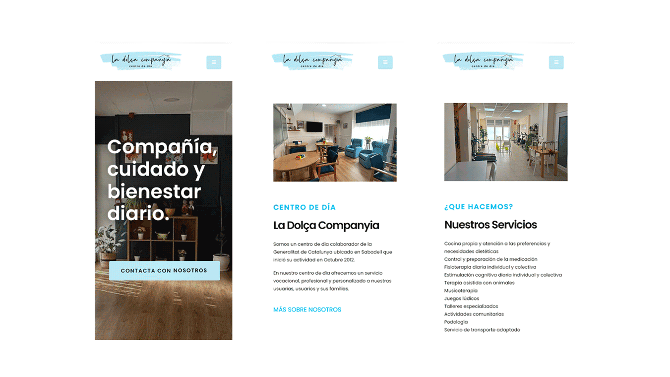 diseno desarrollo web dolca companyia 6
