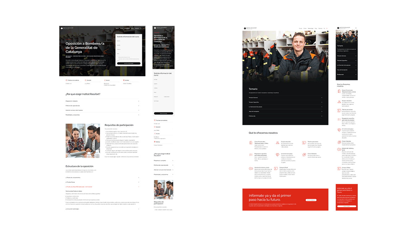 diseno desarrollo web wordpress institut rocafort 6