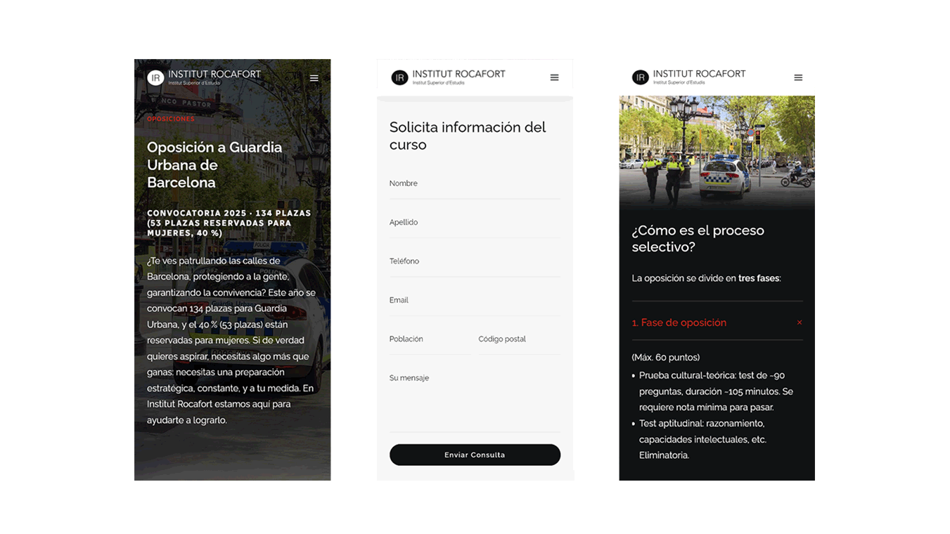 diseno desarrollo web wordpress institut rocafort 8
