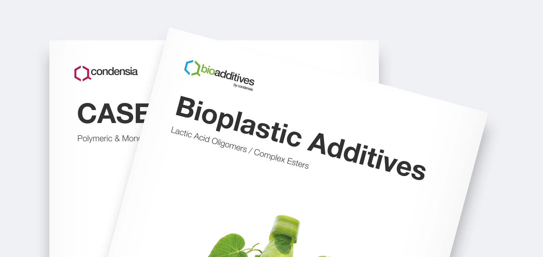 Dowhile Studio desarrollo y diseño web