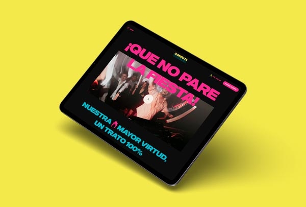 diseno desarrollo web conectaso grid