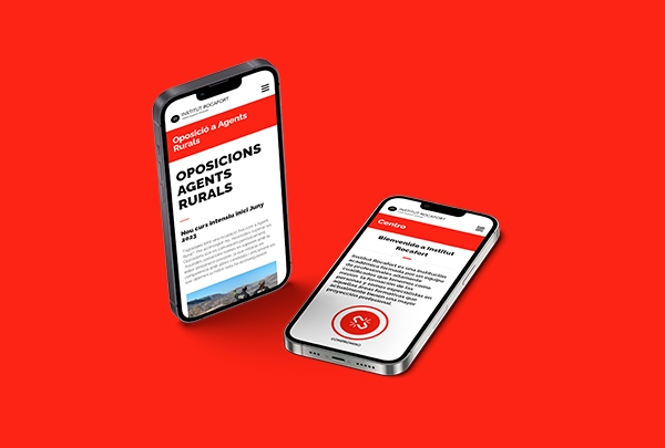 diseno desarrollo web institut rocamora grid