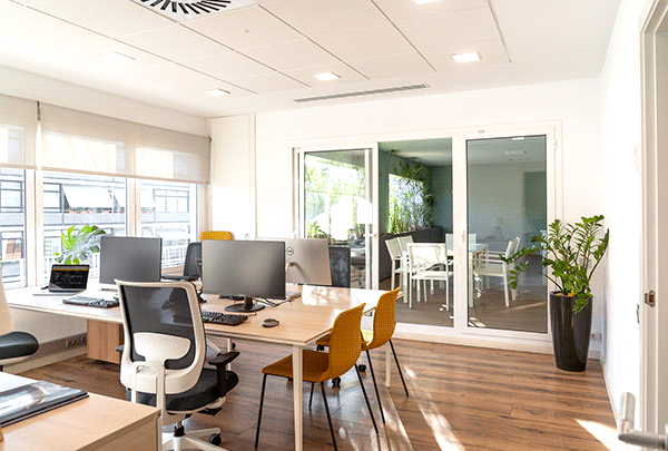 branding-diseno-desarrollo-web-augusta29-business-center-coworking-grid-2