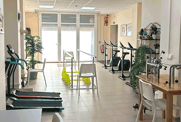 Diseno-desarrollo-web-dolca-companyia-grid-2